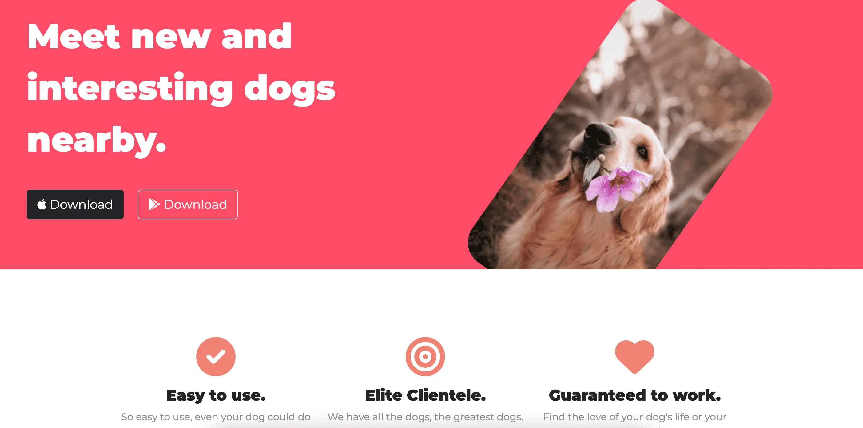 Dog Dating Site